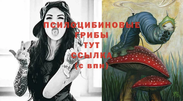 молекула духа Арсеньев